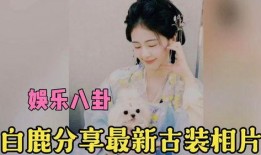 娱乐圈八卦爆料最新白鹿是真的吗