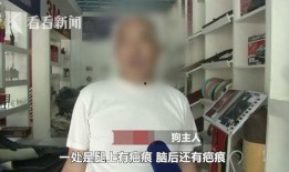 马诺老公爆料偷狗视频,宠物安全引关注