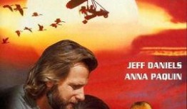 伴你高飞在线观看,一场跨越时空的青春追梦之旅