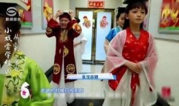 红楼梦小戏骨在线观看,童真演绎经典，在线观看重温古韵