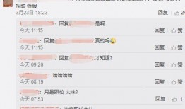 网红被爆料连夜澄清视频,揭秘深夜澄清视频背后的真相