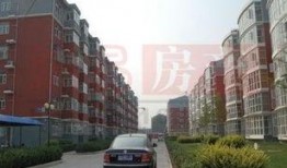 龙兴嘉苑爆料案件最新,揭秘背后惊人真相，疑云重重引关注