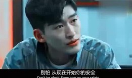 冷锋在线观看,在线观看，揭秘风暴背后的真相