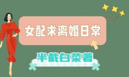 爆料娱乐圈投资小说推荐,跟随小说走进投资界的秘密世界