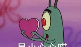 赤峰痞老板爆料视频,揭秘背后惊人内幕