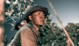 金刚川在线观看,壮丽抗战，热血铸就民族脊梁