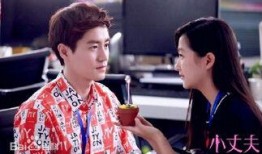 小丈夫33集在线观看,情感纠葛升级，命运抉择即将揭晓