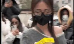 韩国娱乐八卦吃瓜事件,揭秘近期热门八卦事件背后的真相