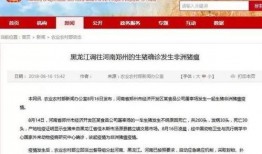 八村最新爆料新闻报道图片,独家图片揭示惊人内幕！”