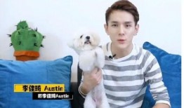 圈内人爆料李佳琦,揭秘网红直播背后的辛酸与辉煌