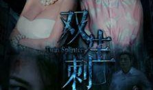 在线观看双生刺