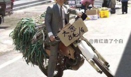 全员摆摊爆料视频大全,揭秘热门爆料视频背后的创业故事