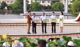 徐州新农人爆料新闻,揭秘农村发展新动向