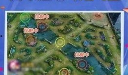 峡谷宝典最新爆料鳄鱼怎么打,鳄鱼新打法，轻松应对挑战！