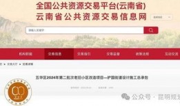 昆明爆料最新消息,揭秘神秘事件背后的真相