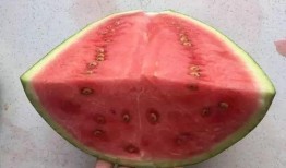 科技大免费吃瓜,揭秘大企业背后的“吃瓜”秘密