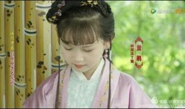 红楼梦小戏骨在线观看,童真演绎经典，在线观看重温古韵