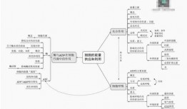 张家三少爆料视频大全,揭秘不为人知的幕后故事