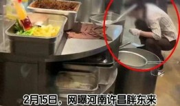 硬哥美食爆料视频下载大全,视频下载大全，尽享美食盛宴