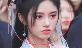 明星圈内爆料鞠婧祎,揭秘明星背后的真实故事”