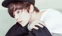 李宏毅恋情爆料最新视频,最新视频揭秘甜蜜瞬间