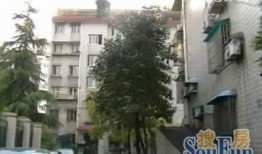 龙兴嘉苑爆料案件最新,揭秘背后惊人真相，疑云重重引关注