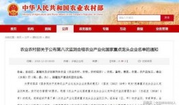 合肥企业爆料事件视频最新,揭露幕后的真相与争议