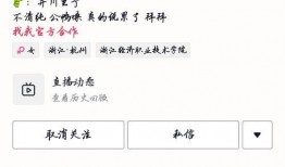 吃瓜网红的文案