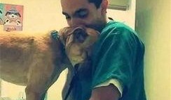 马诺老公爆料偷狗视频,宠物安全引关注