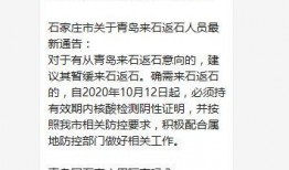 石家庄返石最新爆料,揭秘返石最新爆料与防疫措施