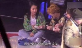 春节爆料视频大全集最新,精彩瞬间回顾，年度盛宴精彩重现