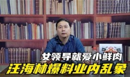 汪海林娱乐圈爆料,揭秘明星幕后真相