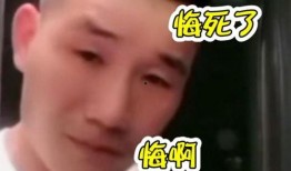 二蛋爆料大嘎子视频大全,大嘎子视频大全，笑料横生，欢乐无限