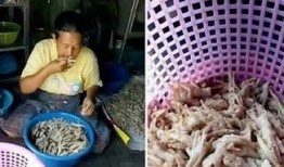 爆料无骨鸡脚视频