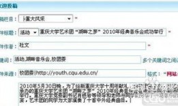 新闻爆料投稿入口,如何让您的声音被听见