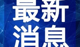 文春爆料菜园视频大全最新,文春爆料，揭秘最新热门菜园视频精彩瞬间