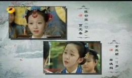 红楼梦小戏骨在线观看,童真演绎经典，在线观看重温古韵