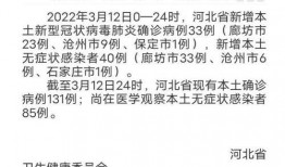 石家庄返石最新爆料,揭秘返石最新爆料与防疫措施