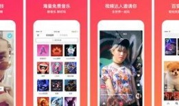 宁波爆料今日头条视频,今日头条视频揭示惊人内幕！