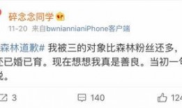 吃瓜网红的文案