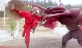 铁鸡斗蜈蚣在线观看