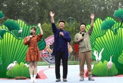 缅北最新爆料新闻视频下载,视频揭露惊人内幕