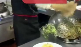 硬哥美食爆料视频下载大全,视频下载大全，尽享美食盛宴