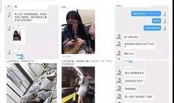 营销号爆料配音视频,揭秘爆款背后的制作技巧