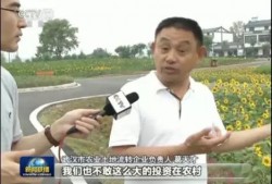 娱乐圈爆料近期新闻联播,新闻联播幕后故事大揭秘
