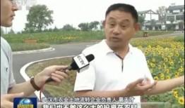 娱乐圈爆料近期新闻联播,新闻联播幕后故事大揭秘