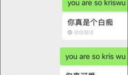 宁强微信爆料最新消息今天,最新动态揭秘，今日热点事件一览无余！”
