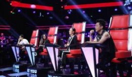 观众爆料中国好声音视频,观众爆料视频引热议