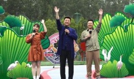 太原美团爆料事件视频最新,揭露行业乱象，引发公众关注