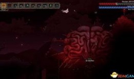 海拉瑞亚1.5最新爆料,探索神秘新内容与升级